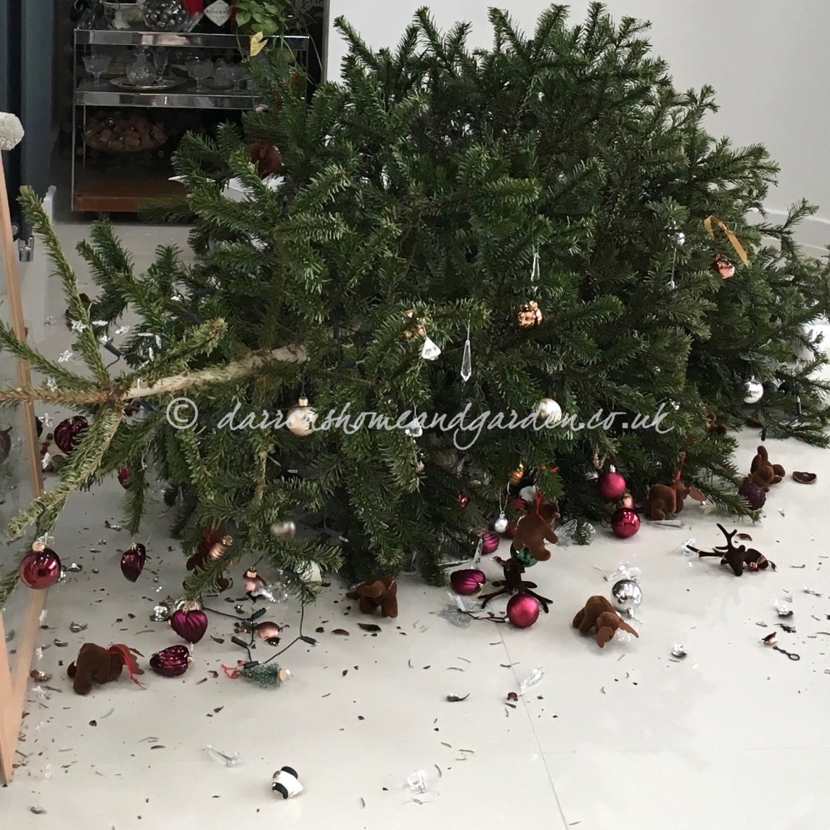 christmastree fail© darrenshomeandgarden.co.uk.